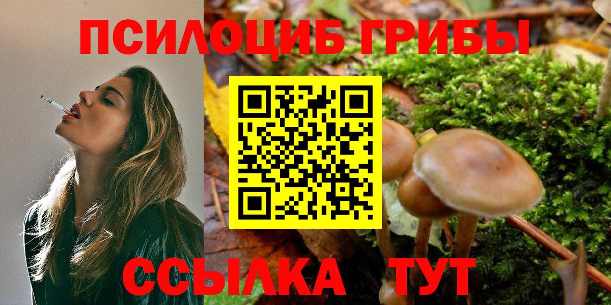 купить   Псилоцибиновые грибы Psilocybine cubensis  Вход с VPN  Севастополь  Галлюциногенные грибы прущие грибы 